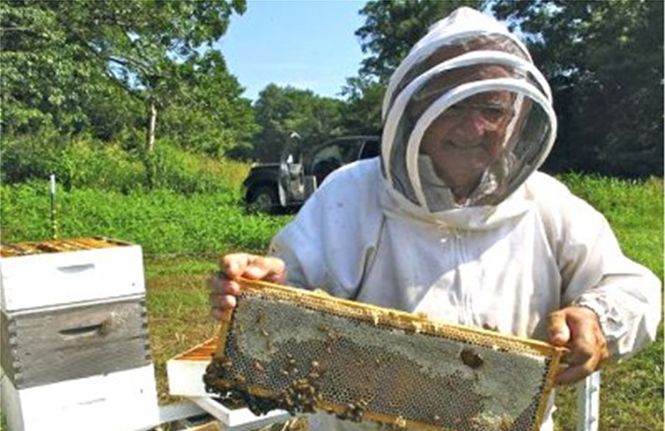 Το 44% των μελισσιών τους έχασαν οι Αμερικανοί μέσα σε 1 έτος